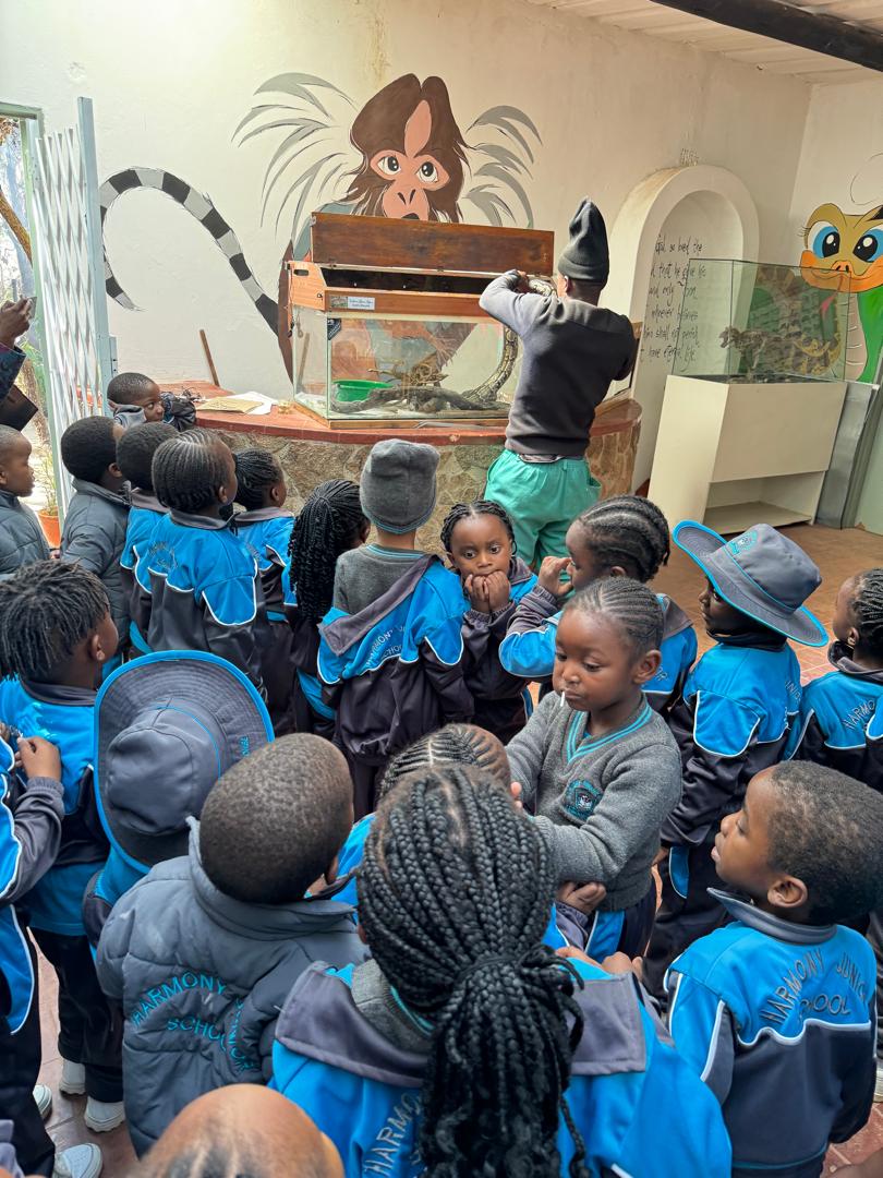 Harmony Junior School